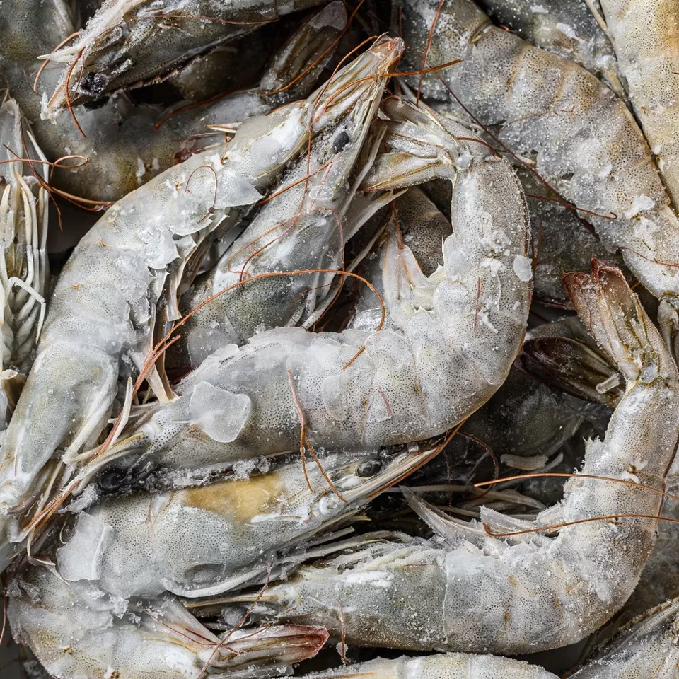 Gamba Diepvries
