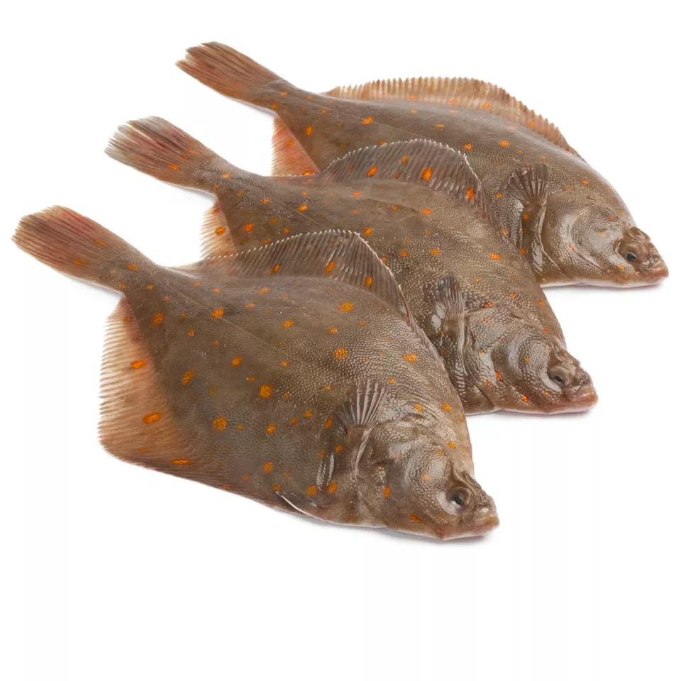 Pladijsfilet