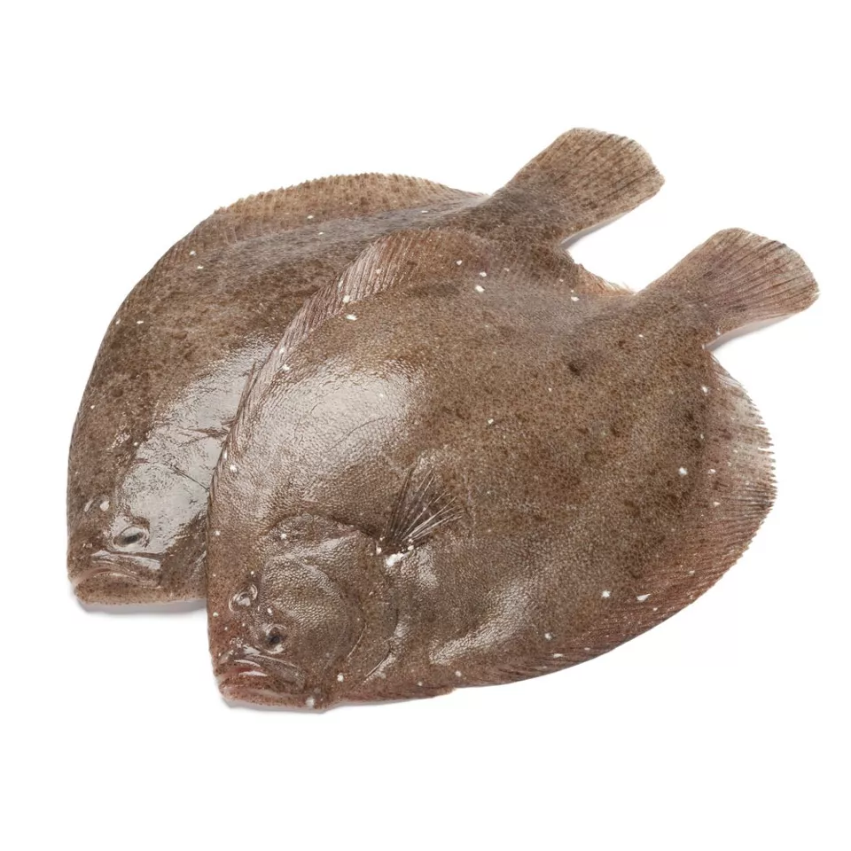 Grietfilet 